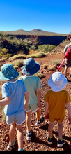 Load image into Gallery viewer, Earthside Hat - wide brimmed