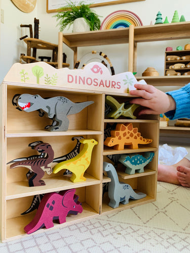 Dinosaur shelf set
