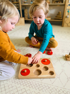 Montessori toddler puzzle