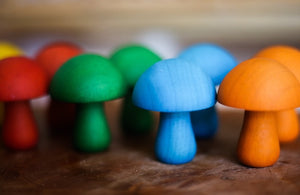 Coloured mushrooms